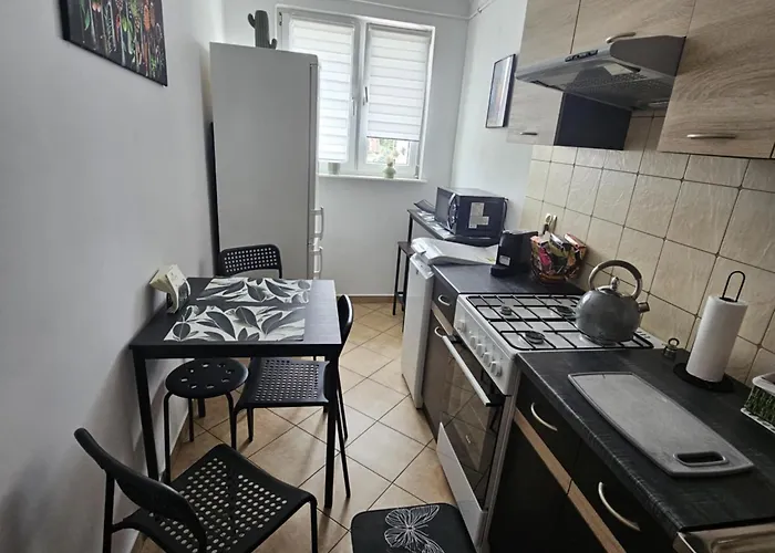 Apartment Rynek-centrum